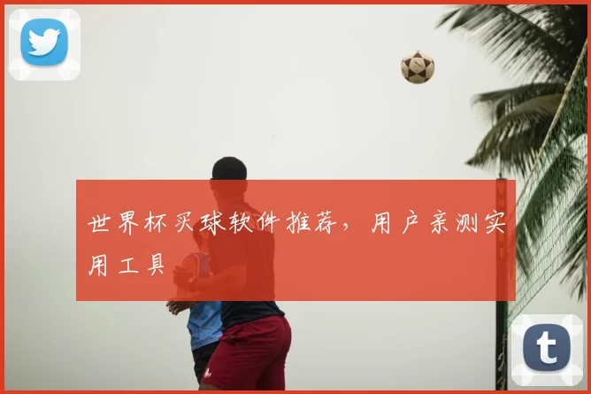 世界杯买球软件推荐，用户亲测实用工具