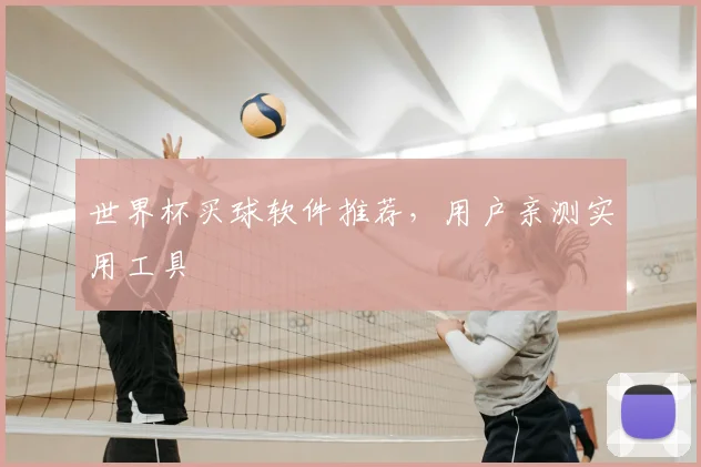 世界杯买球软件推荐，用户亲测实用工具