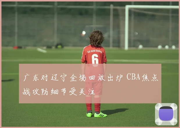 广东对辽宁全场回放出炉 CBA焦点战攻防细节受关注